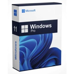 Microsoft Windows 11 PRO 64 bits