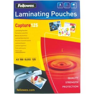 100 pochettes Fellowes format A3