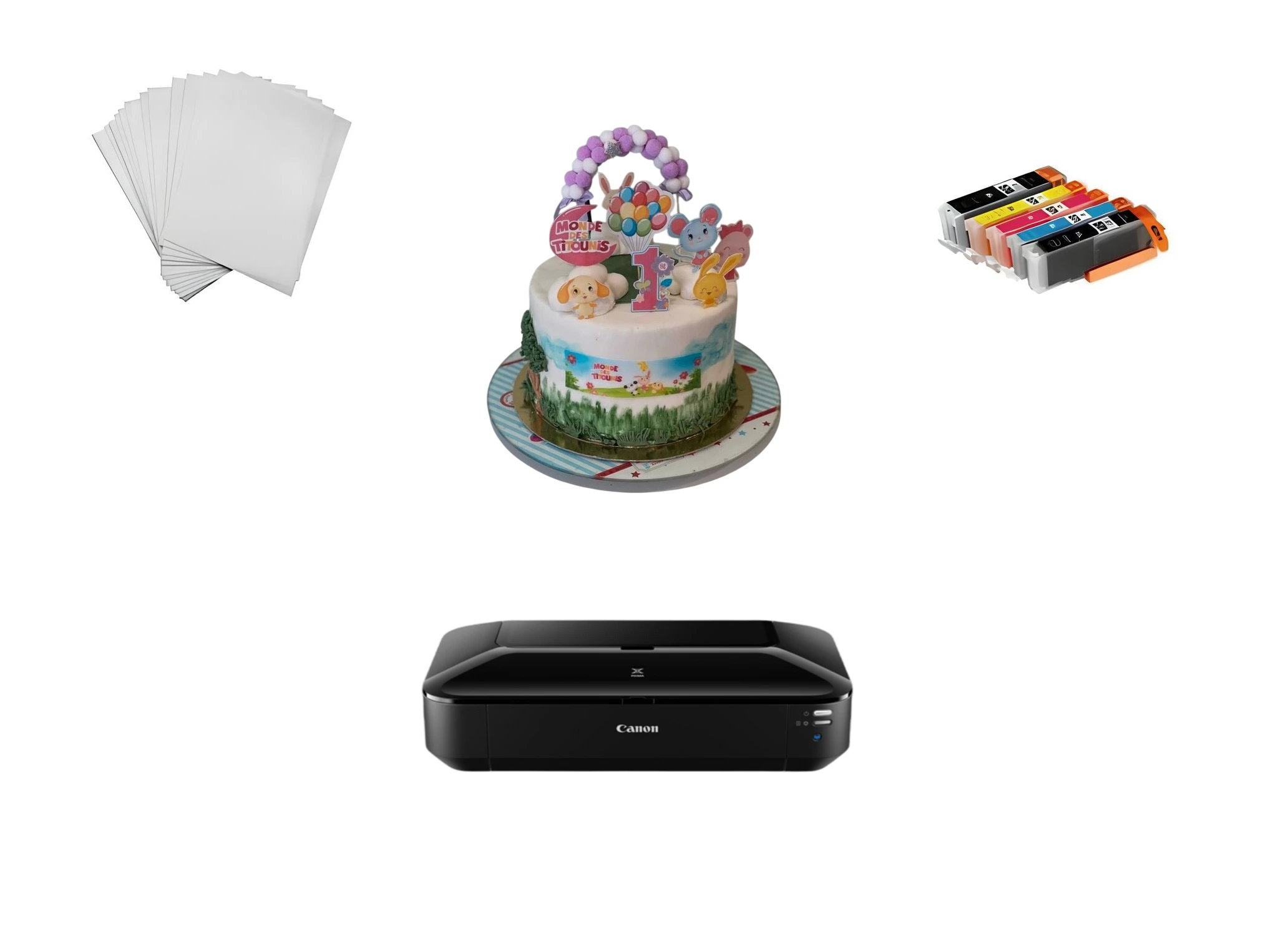 Pack imprimante alimentaire A3 canon IX Series