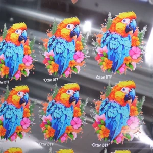 Acheter Planches DTF UV A3– Impressions personnalisées stickers à La Réunion 974